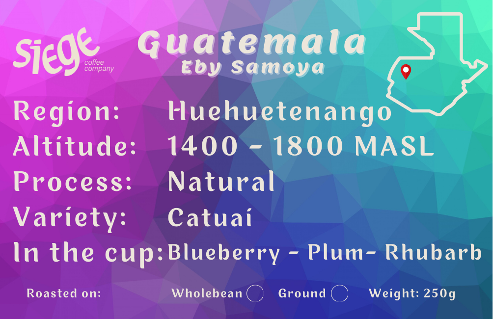 Guatemala Eby Samoya