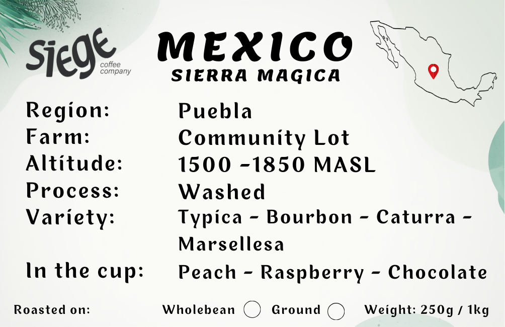 Mexico Sierra Magica
