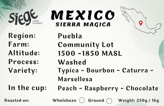 Mexico Sierra Magica