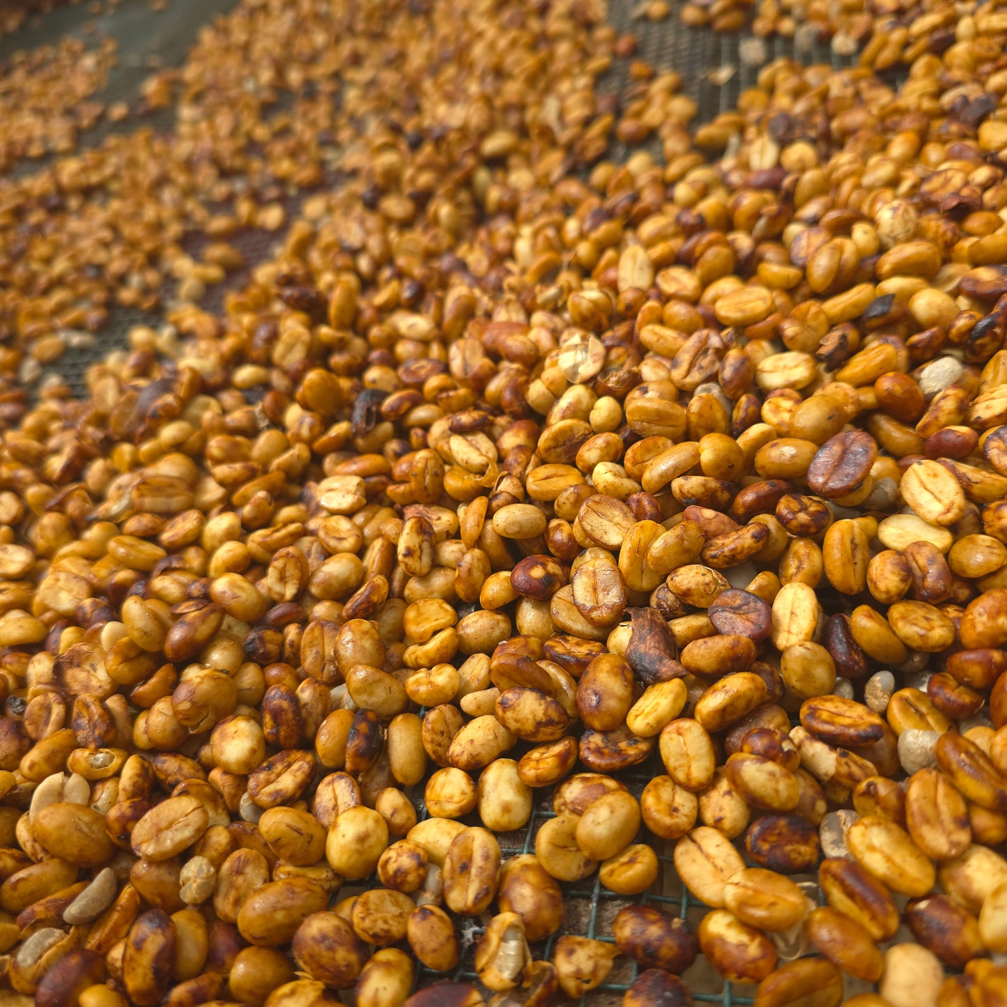 Colombia Huber Chona